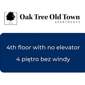 Oak Tree Old Town Poland